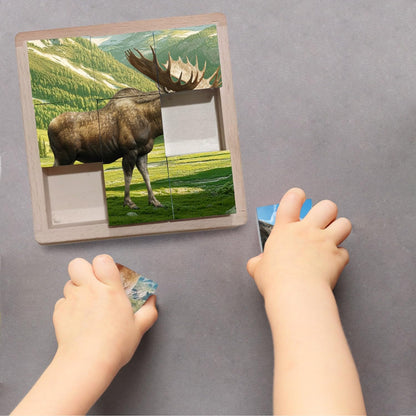 Wooden Cube Puzzle | Wooden Puzzles for Kids & Toddlers Ages 3 4 5 6 7 8