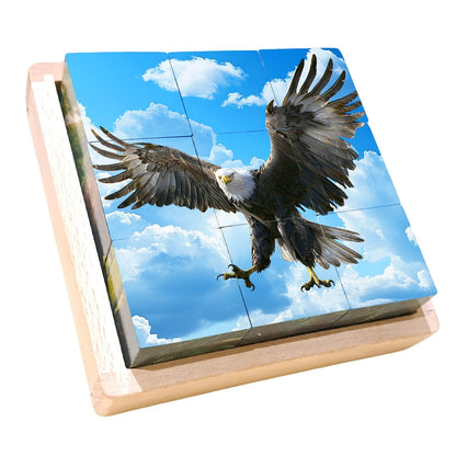 Wooden Cube Puzzle | Wooden Puzzles for Kids & Toddlers Ages 3 4 5 6 7 8